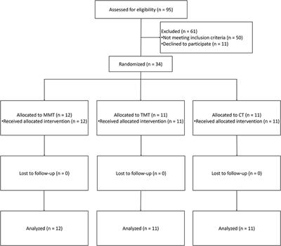 Comparison Between Movement-Based and Task-Based Mirror Therapies on Improving Upper Limb Functions in Patients With Stroke: A Pilot Randomized Controlled Trial